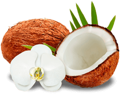 coconut